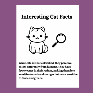Crystal Ball Cat Coloring Book