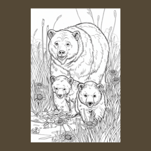 American Black Bear Coloring Book