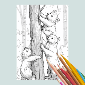 American Black Bear Coloring Book