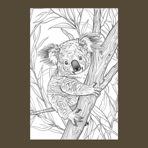 Koala Coloring Book