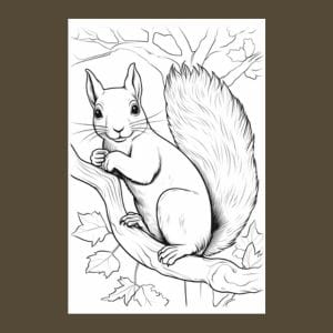 Squirrel Coloring Book for Adults |